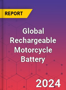 Global Rechargeable Motorcycle Battery Industry