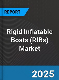 Global Rigid Inflatable Boats Market