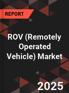 Global ROV Market