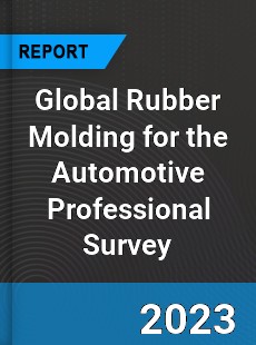 Global Rubber Molding for the Automotive Professional Survey Report