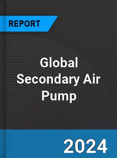 Global Secondary Air Pump Industry