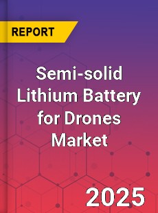 Global Semi solid Lithium Battery for Drones Outlook
