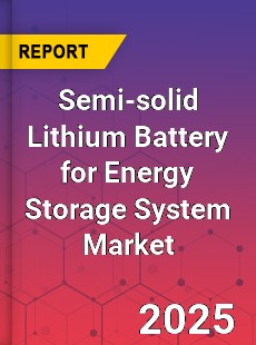 Global Semi solid Lithium Battery for Energy Storage System Outlook