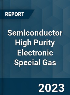 Global Semiconductor High Purity Electronic Special Gas Market