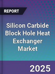 Global Silicon Carbide Block Hole Heat Exchanger Outlook