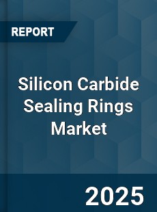 Global Silicon Carbide Sealing Rings Market