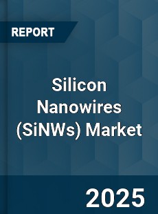 Global Silicon Nanowires Market