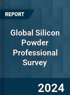 Global Silicon Powder Professional Survey Report