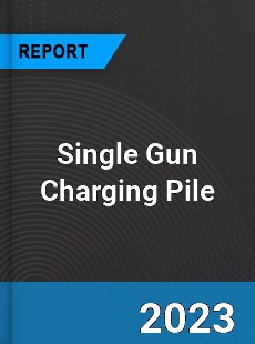 Global Single Gun Charging Pile Market