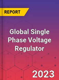 Global Single Phase Voltage Regulator Industry