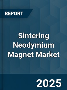 Global Sintering Neodymium Magnet Market