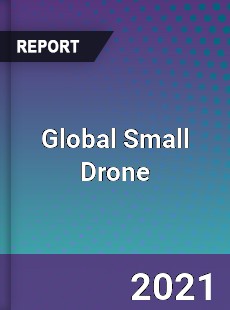 Global Small Drone Market