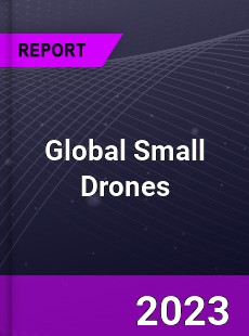 Global Small Drones Market