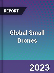 Global Small Drones Market