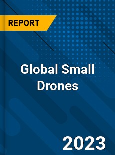 Global Small Drones Market