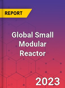 Global Small Modular Reactor Market