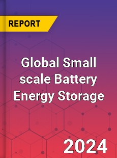 Global Small scale Battery Energy Storage Industry