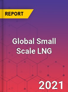 Global Small Scale LNG Market