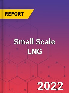 Global Small Scale LNG Market