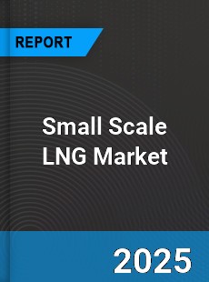 Global Small Scale LNG Market