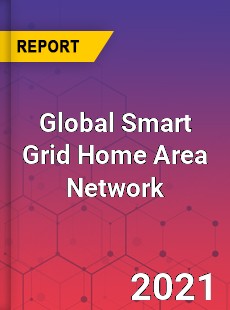 Global Smart Grid Home Area Network Market