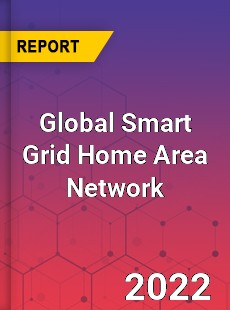 Global Smart Grid Home Area Network Market