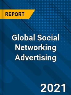 Global Social Networking Advertising Industry