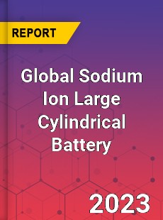 Global Sodium Ion Large Cylindrical Battery Industry