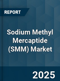 Global Sodium Methyl Mercaptide Market