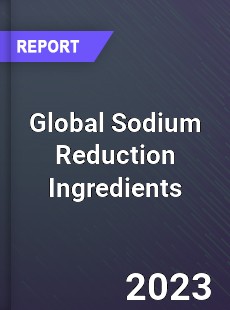 Global Sodium Reduction Ingredients Market
