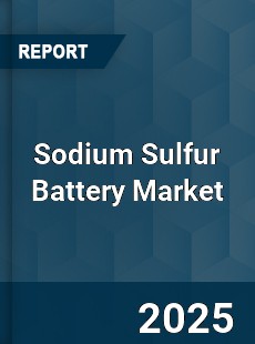Global Sodium Sulfur Battery Market