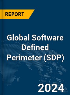 Global Software Defined Perimeter Market