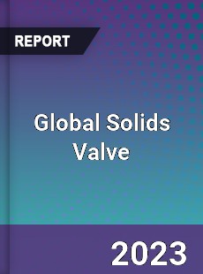 Global Solids Valve Industry