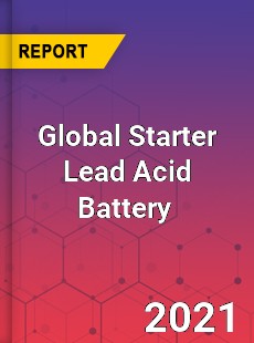 Global Starter Lead Acid Battery Market