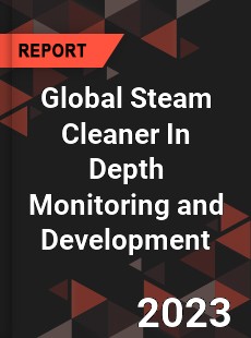 Global Steam Cleaner In Depth Monitoring and Development Analysis