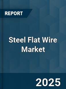 Global Steel Flat Wire Market