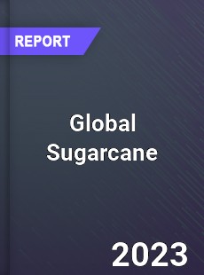 Global Sugarcane Market