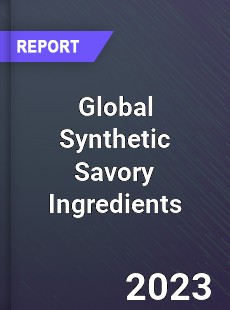 Global Synthetic Savory Ingredients Industry