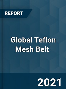 Global Teflon Mesh Belt Market