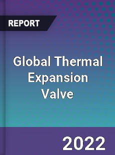 Global Thermal Expansion Valve Market