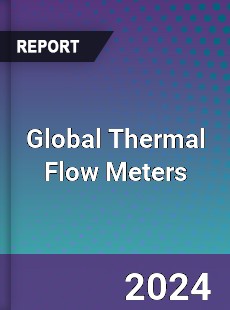 Global Thermal Flow Meters Market