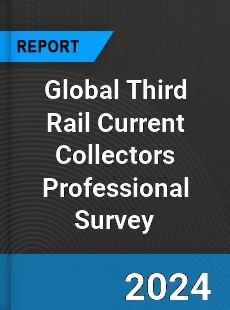 Global Third Rail Current Collectors Professional Survey Report