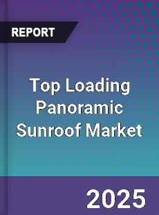 Global Top Loading Panoramic Sunroof Outlook