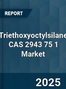 Global Triethoxyoctylsilane CAS 2943 75 1 Industry