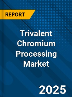 Global Trivalent Chromium Processing Market