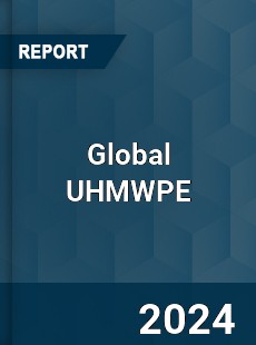 Global UHMWPE Market