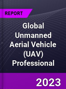 Global Unmanned Aerial Vehicle Professional Market