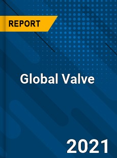 Global Valve Market