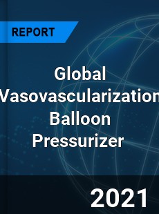 Global Vasovascularization Balloon Pressurizer Market