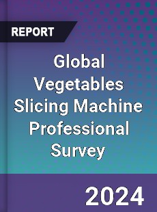Global Vegetables Slicing Machine Professional Survey Report